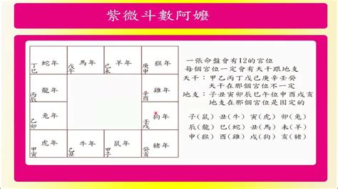 紫微斗數解釋免費|紫微斗數命盤線上排盤